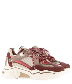 dwrs-149543-rood 1